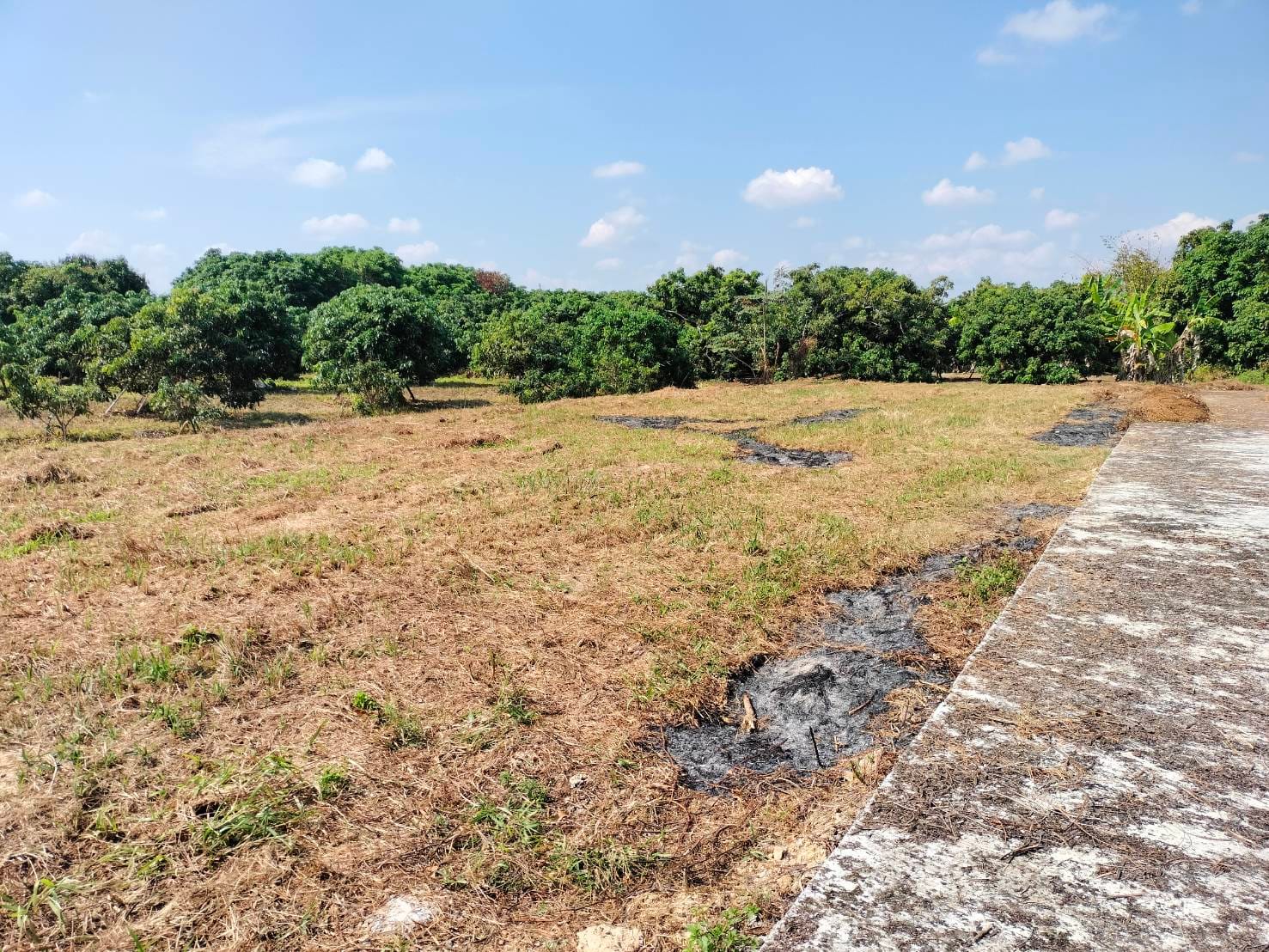 ขายที่ดินพร้อมจัดสรรค์ เหมาะสำหรับสร้างบ้านจัดสรรค์