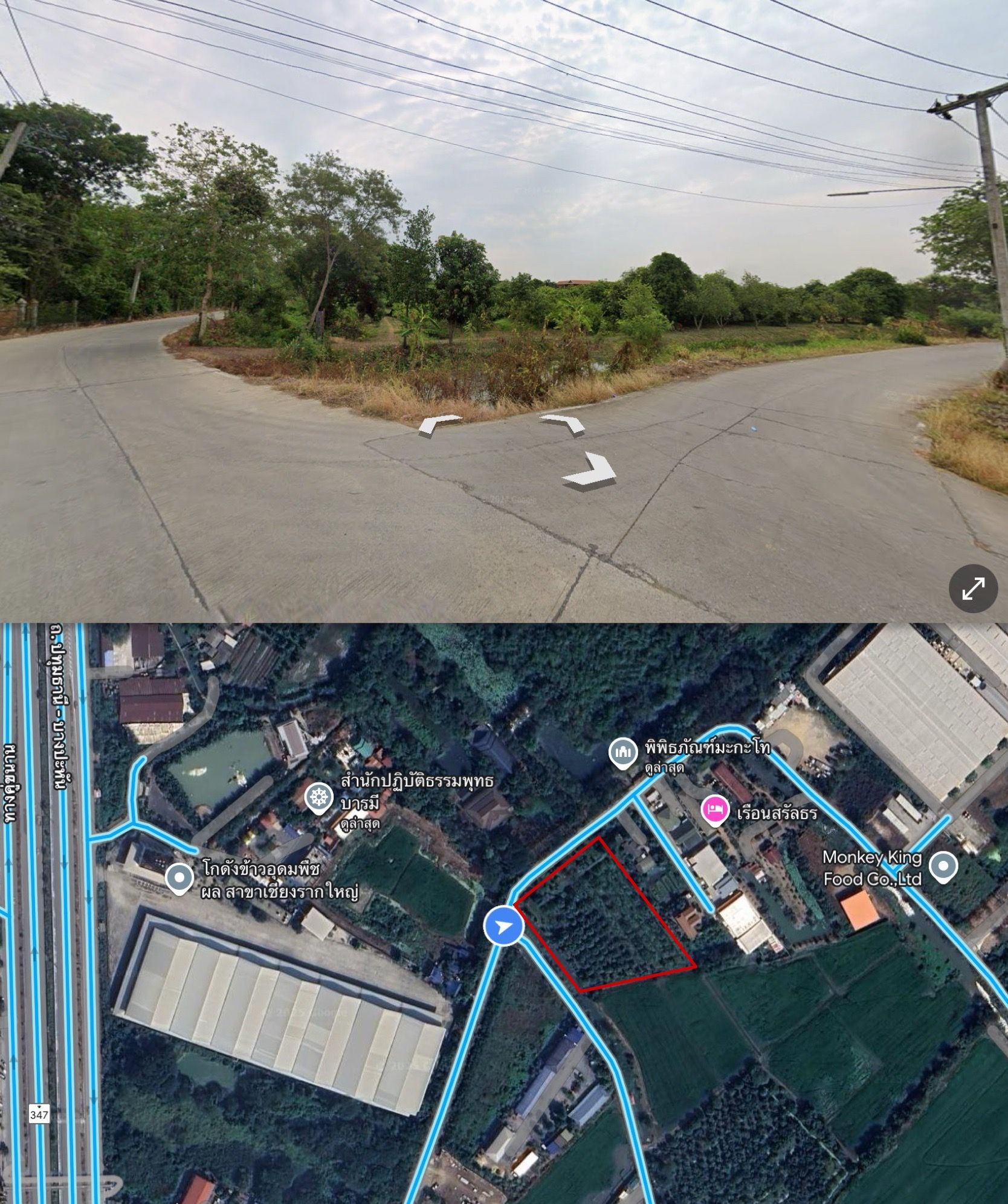 ขายที่ดินปทุมธานี อำเภอสามโคก ทำเลดีใกล้ ทางด่วนพิเศษอุดรรัถยา ม.ธรรมศาสตร์ รังสิต
