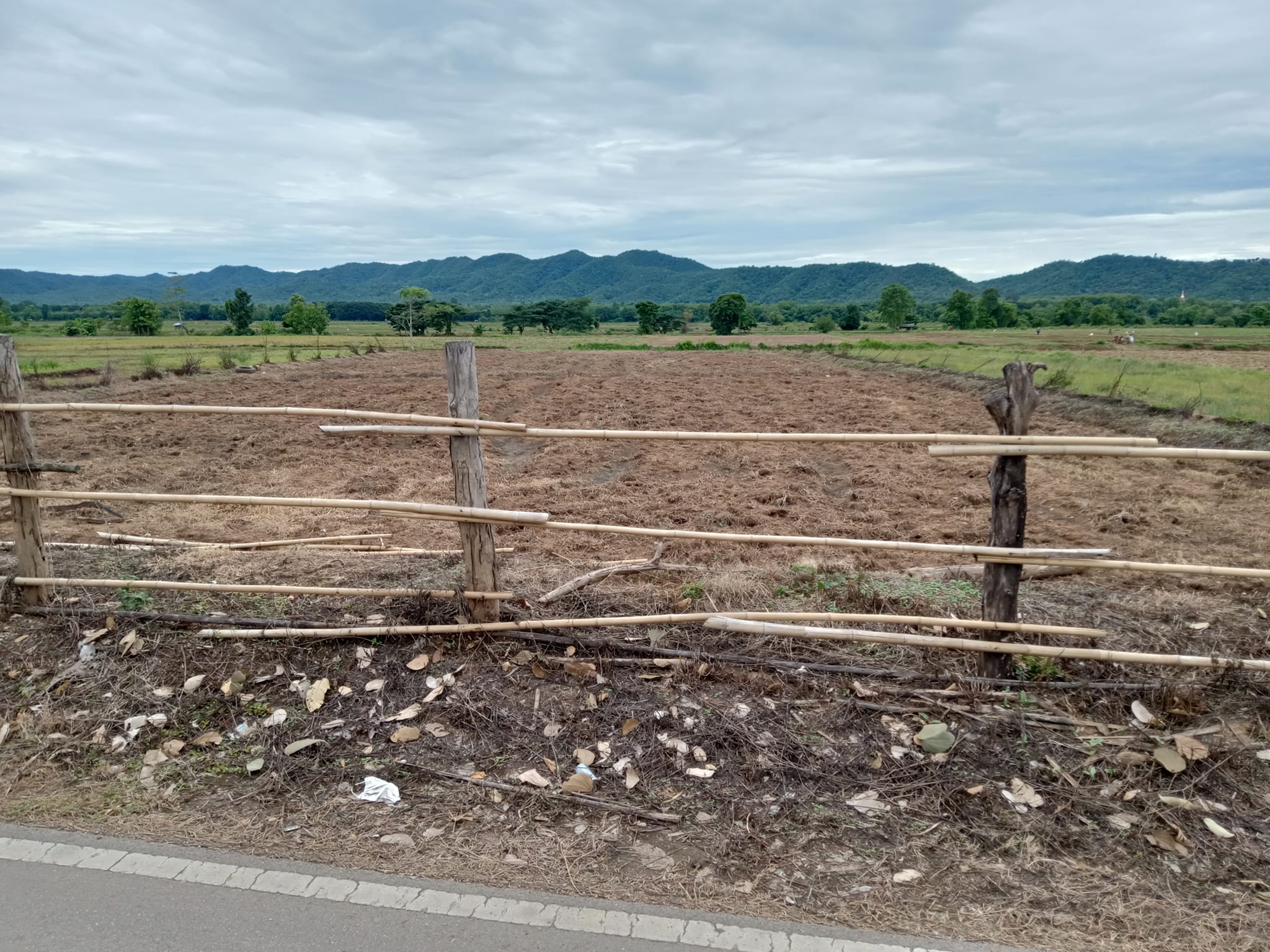 ที่ดินเปล่า แม่ทะ ลำปาง 1-2-24