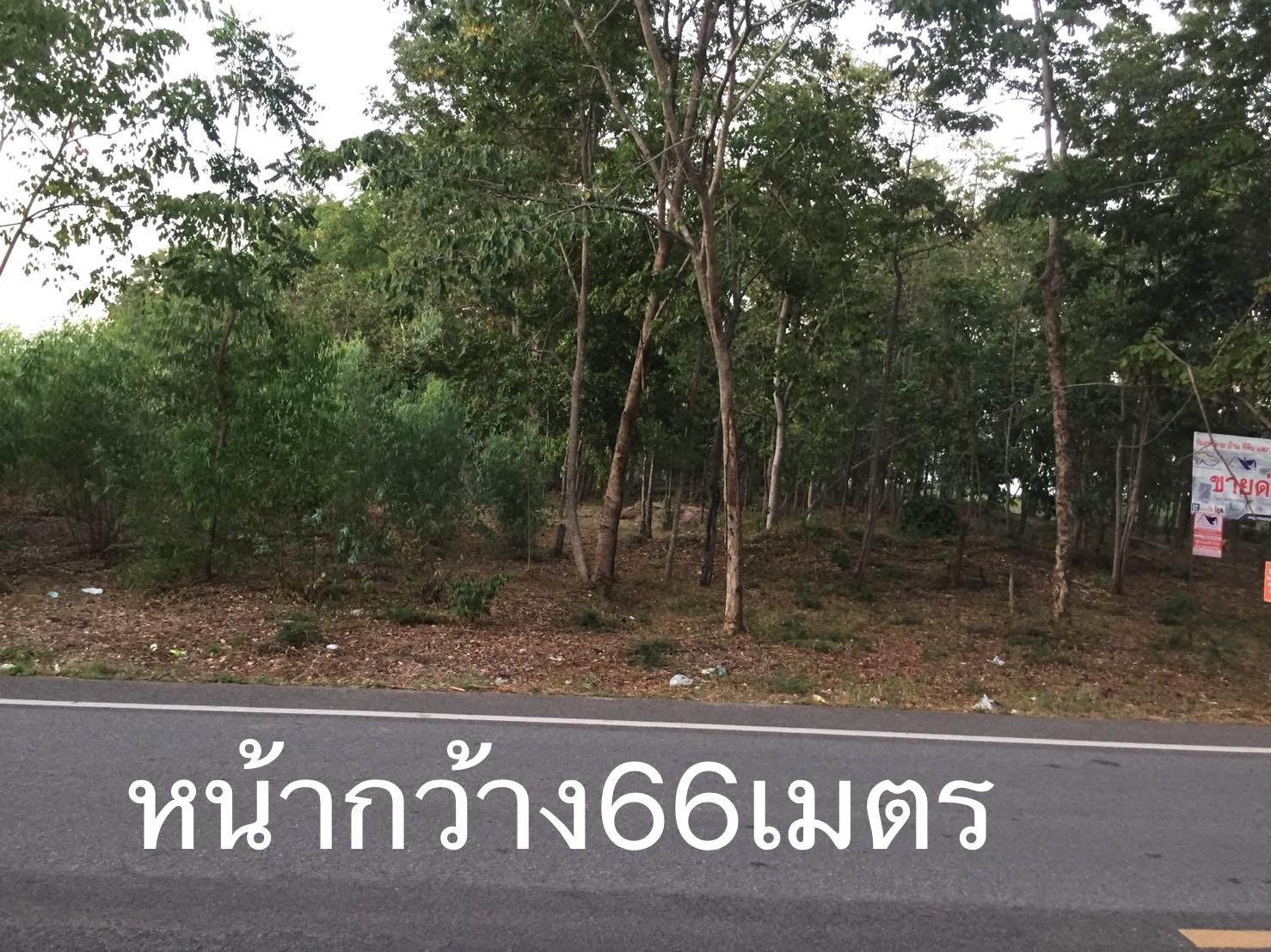 แปลงที่ดินสวยๆ ติดถนนสายหลัก จ.นครราชสีมา 3-2-42