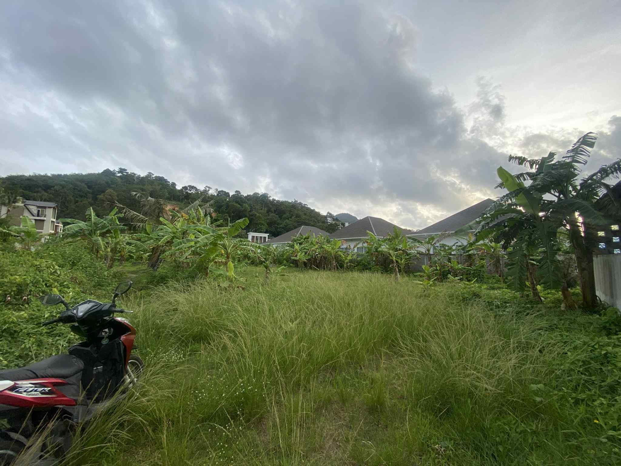 ที่ดินกมลาภูเก็ต 