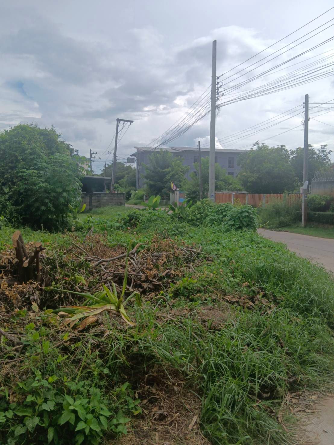 ขายที่ดิน ทำเลดี เขตชุมชน ซอยมอเตอร์ไบ ใจกลางเมือง พร้อมบริการสร้างบ้านตามแบบที่ลูกค้าต้องการ