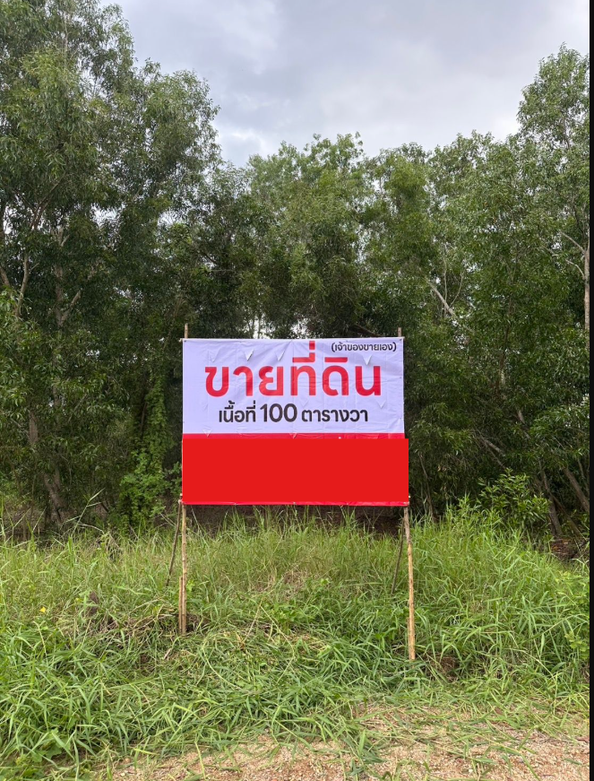 ประกาศขายที่ดิน คลอง6 ซอย คลองหกตะวันตก53 เนื้อที่ 100 ตารางวา ตำบลคลองหก อำเภอคลองหลวง ปทุมธานี