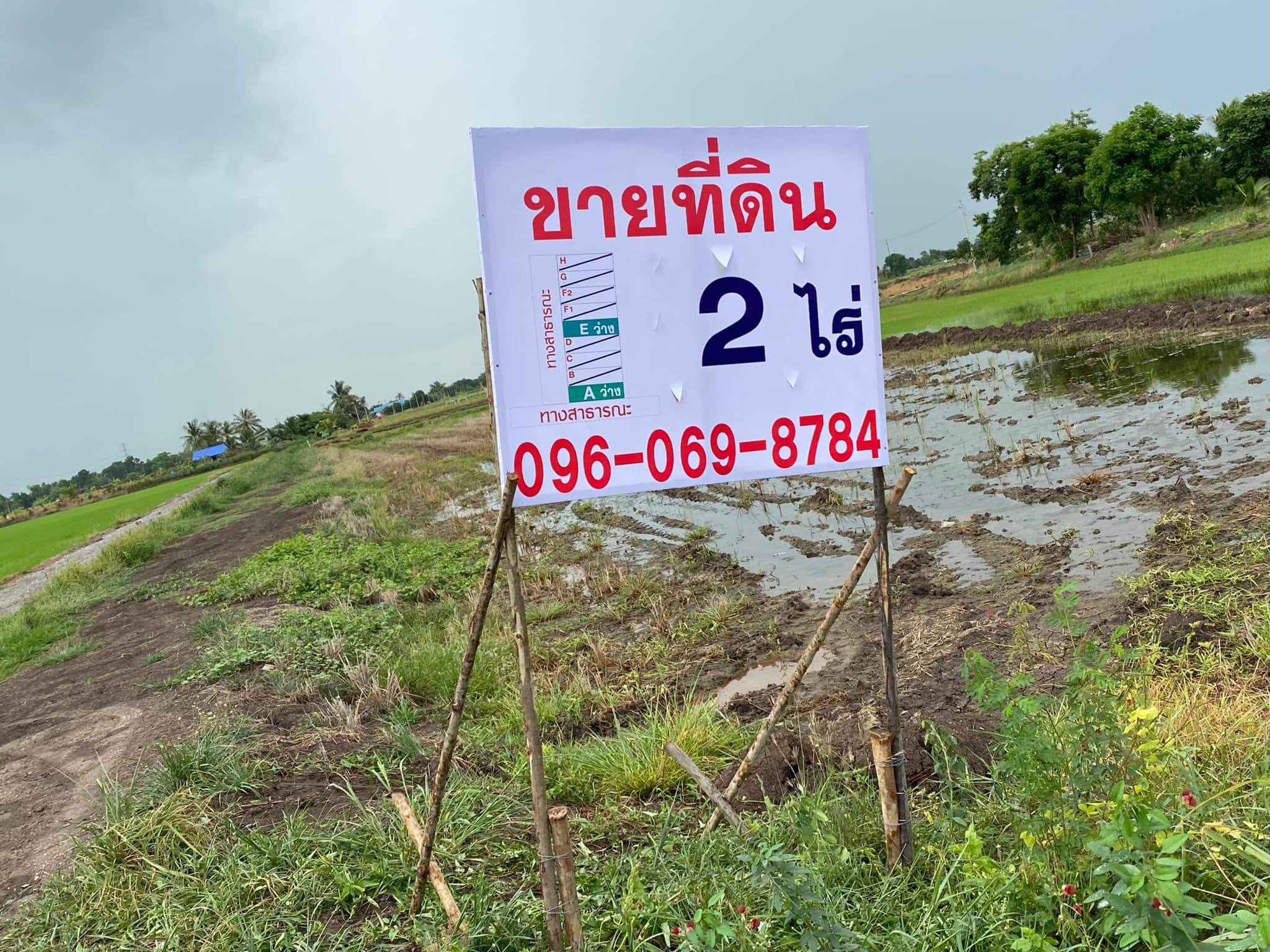 ที่ดินเปล่า แปลงยาว ฉะเชิงเทรา 2 ไร่