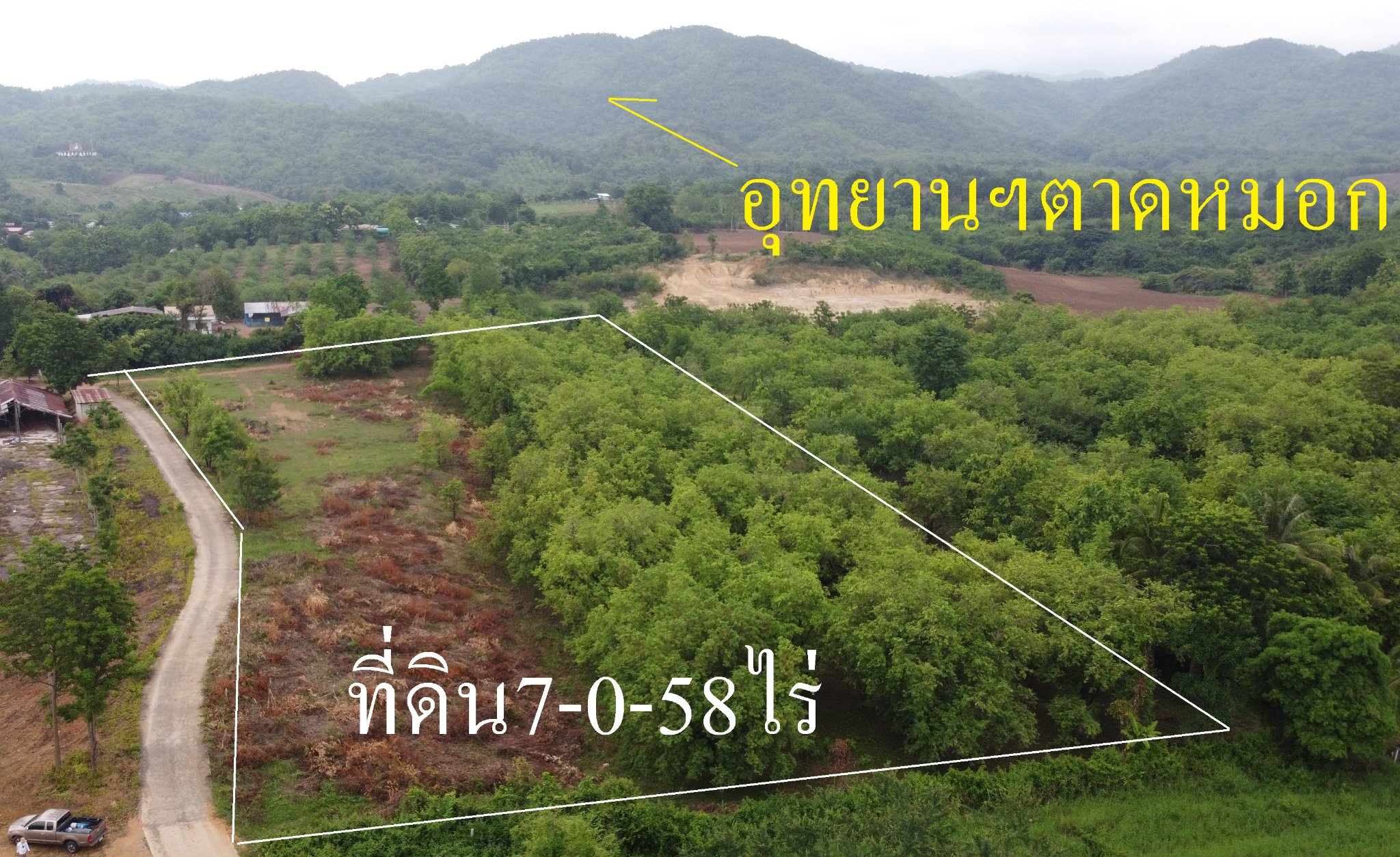 ที่ดินเปล่า เมืองเพชรบูรณ์ 7-0-58 ไร่