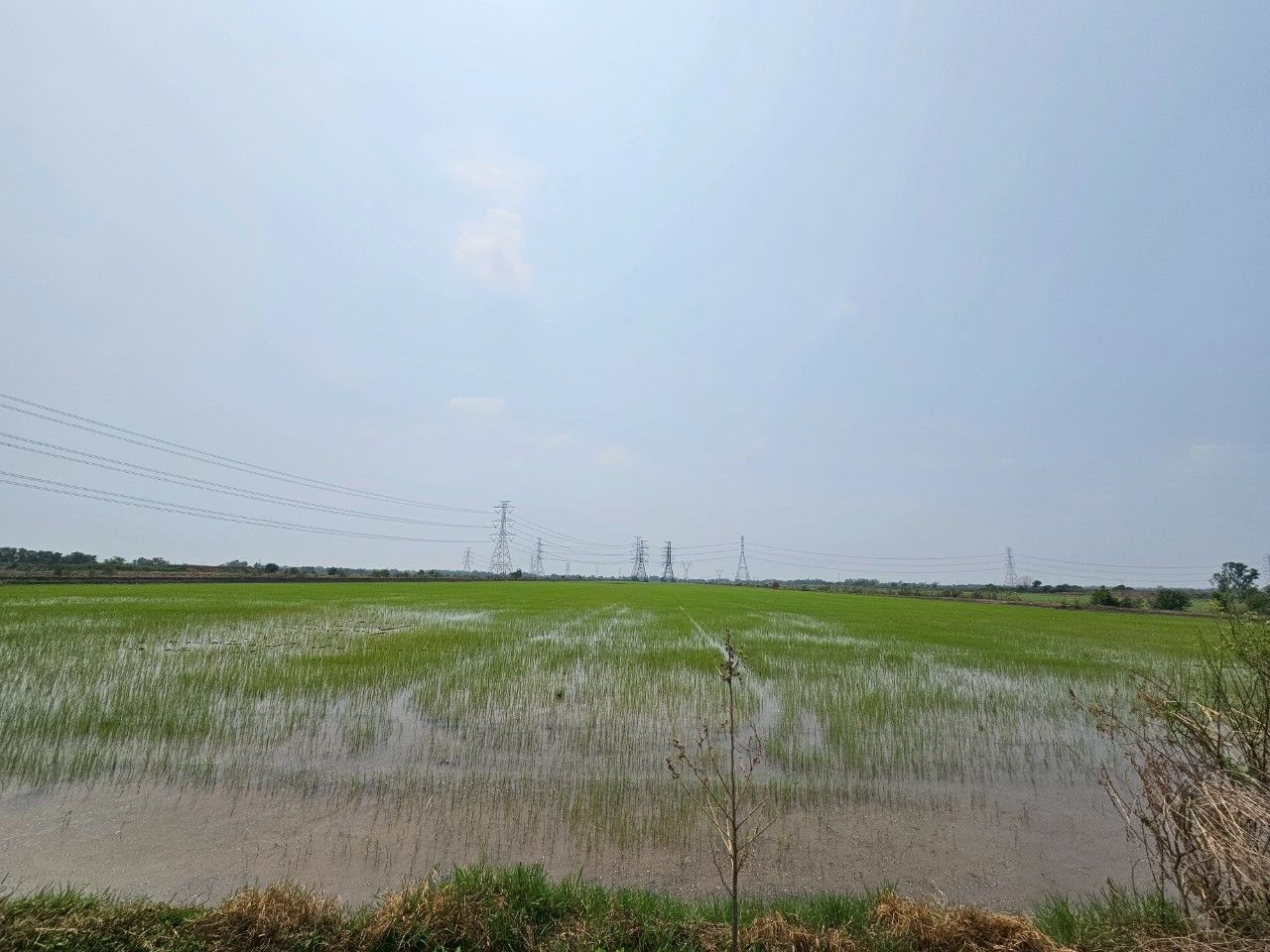 ที่ดิน 300-1-18 ไร่