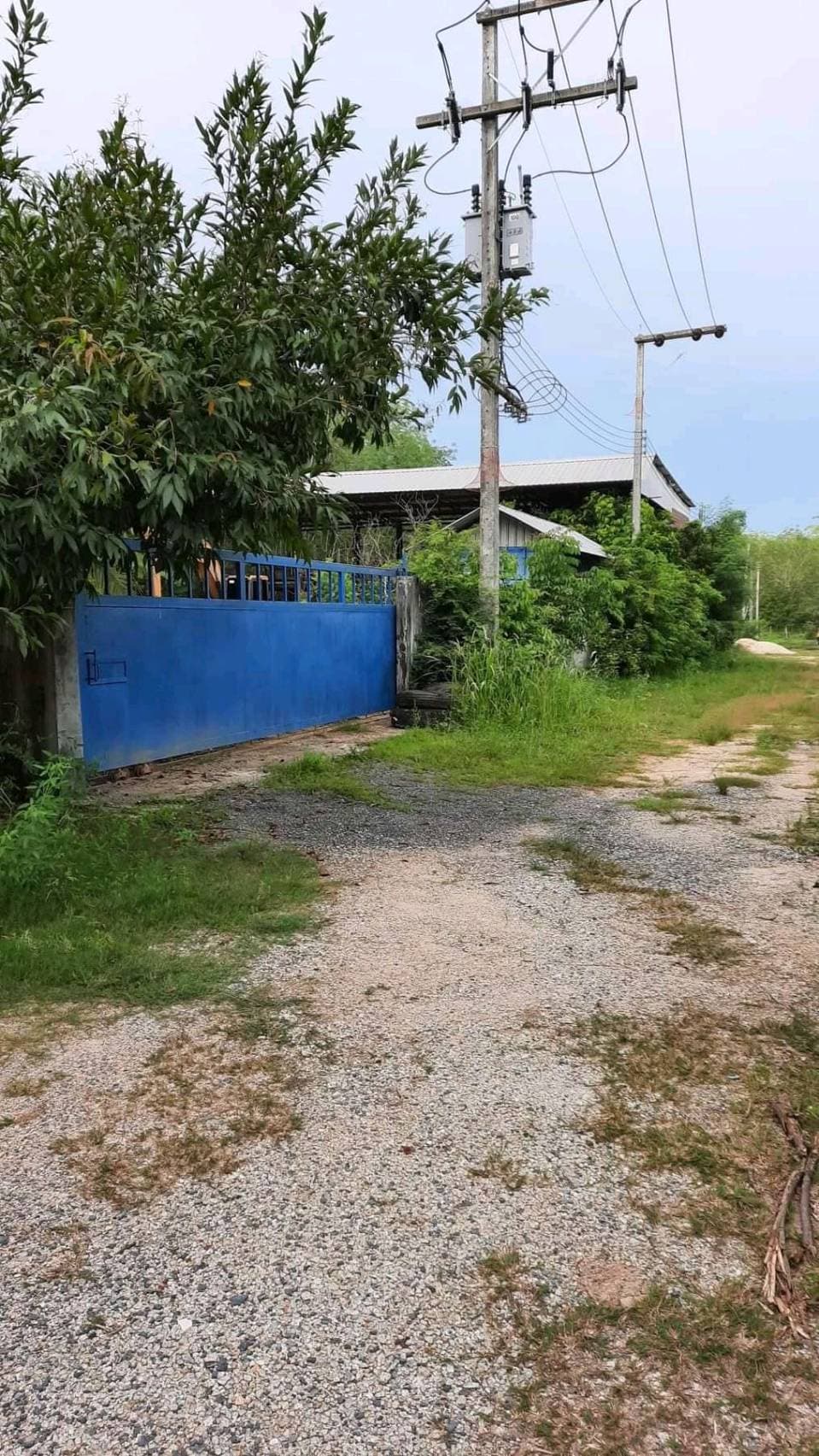 ขายที่ดินภูเก็ต ถลาง 0-1-76.9