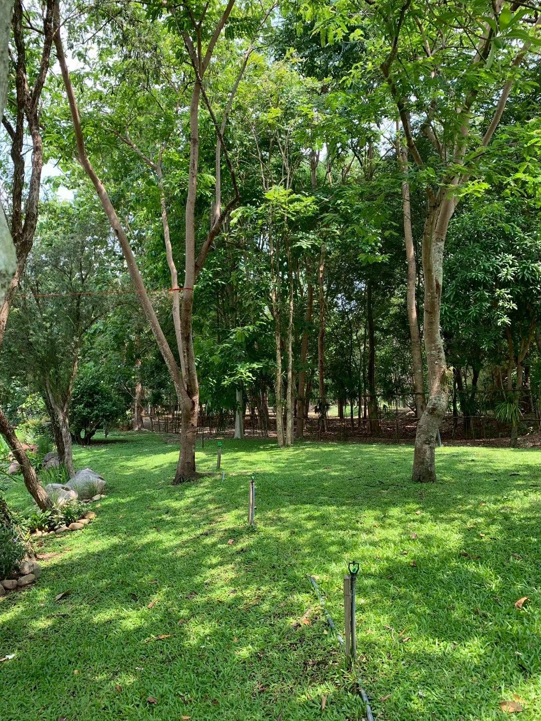 ขายบ้านสวนสระบุรี แก่งคอย บรรยากาศดี สงบ มีสวนผลไม้ ใกล้มอเตอร์เวย์สายบางปะอิน–นครราชสีมา