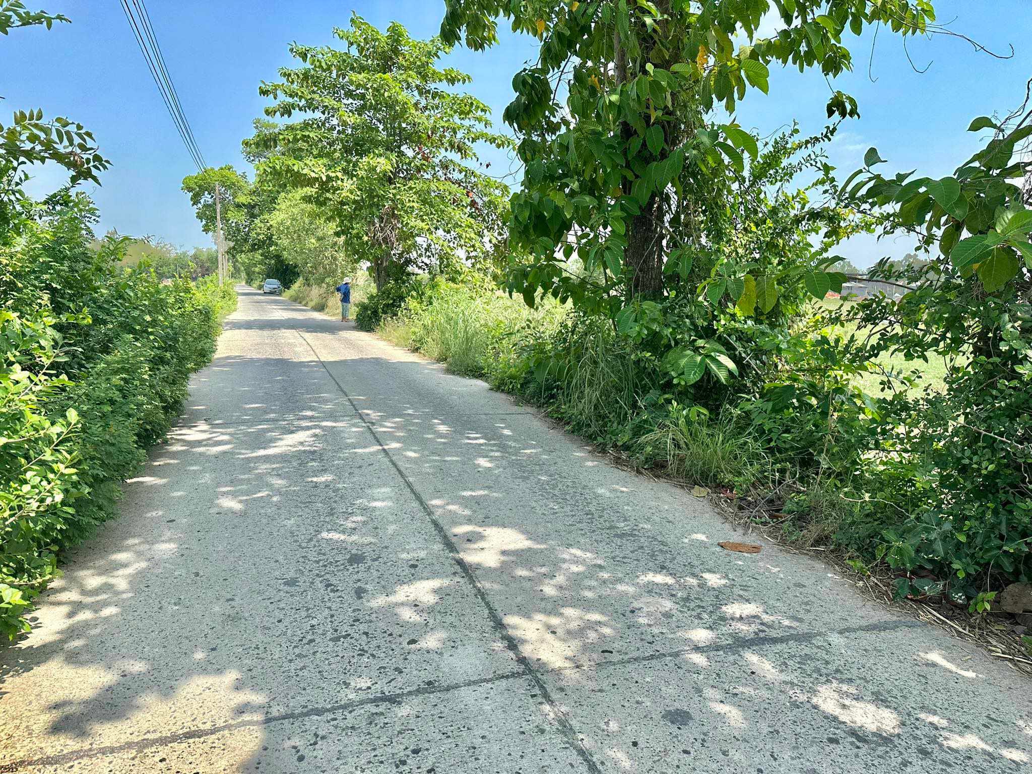 ขายที่ดิน เป็นที่นา ต.บ้านพริก อ.บ้านนา จ.นครนายก 15-2-27 ไร่