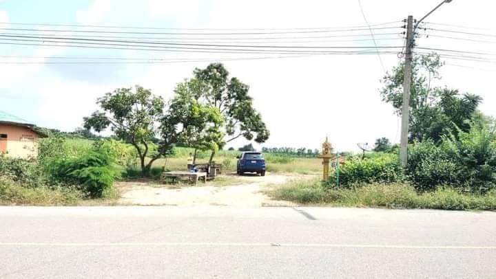 ขายที่ดินอ่างทอง อำเภอแสวงหา ที่ดินแปลงใหญ่ ติดถนน