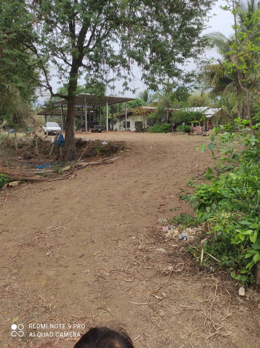 ขายบ้านเพชรบูรณ์ พร้อมที่ดิน ในชุมชน ใกล้ อบต.บ้านเนิน หล่มเก่า 