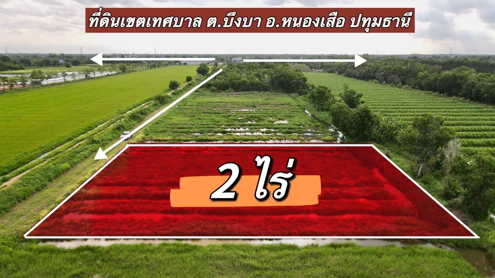 ขายที่ดินปทุมธานี อำเภอหนองเสือ ที่แปลงสวย ที่ดินเขตเทศบาลอำเภอหนองเสือ