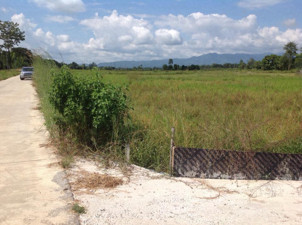 ขายที่ดิน ลำปาง 280 ตรว.