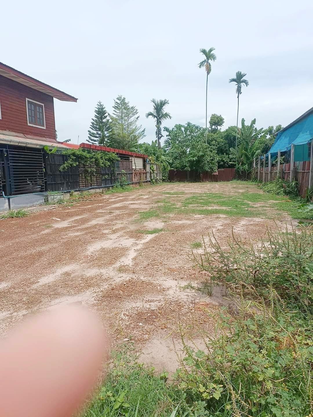 ที่ดินเปล่า อ.ท่าบ่อ จ.หนองคาย น้ำไฟสะดวก 81.2 ตรว.