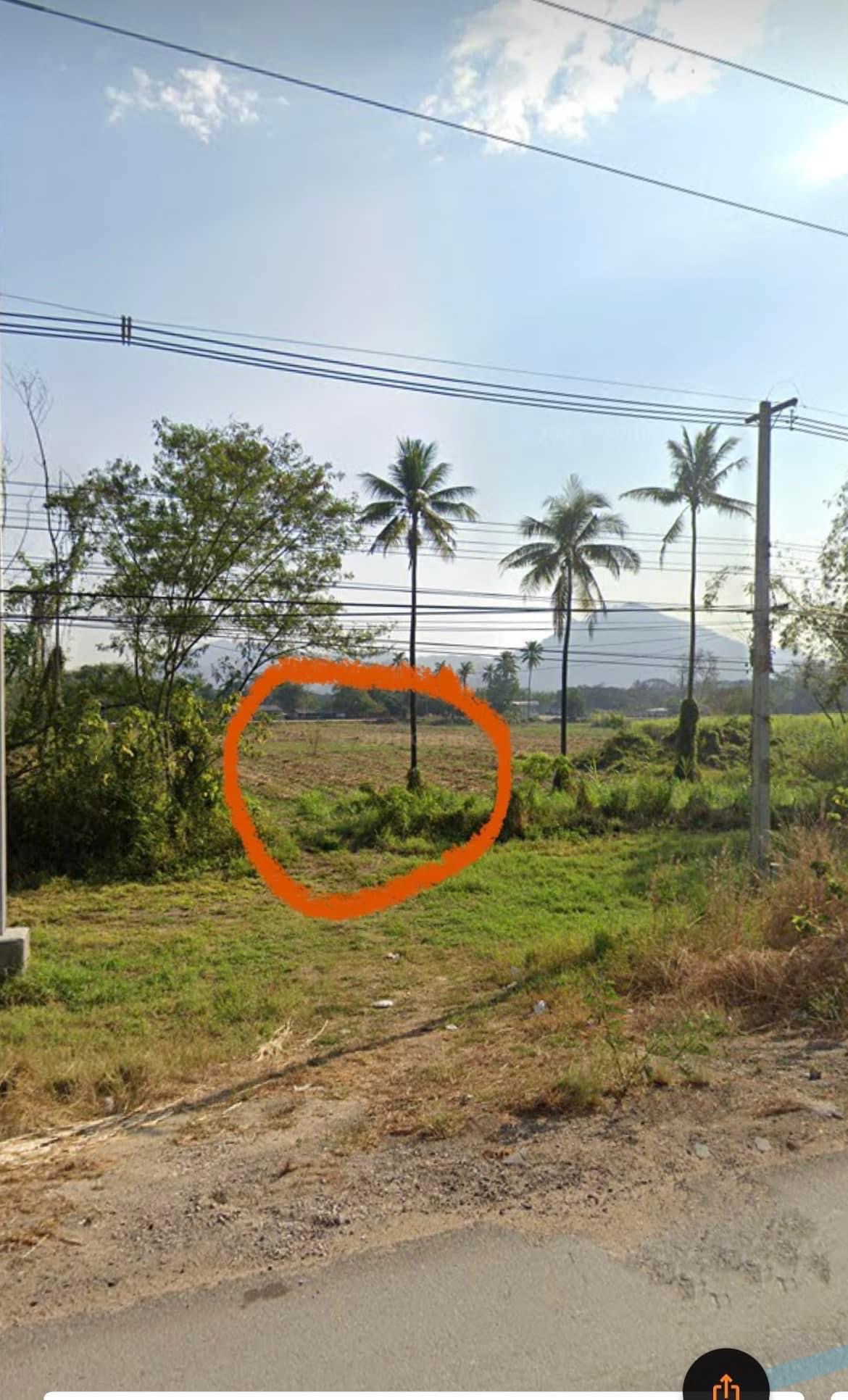 ขายที่ดินเปล่า วังเจ้า ตาก 2ไร่