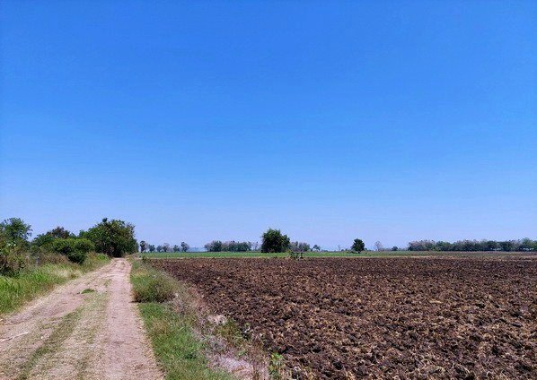 ขายที่ดิน ลพบุรี 15 ไร่
