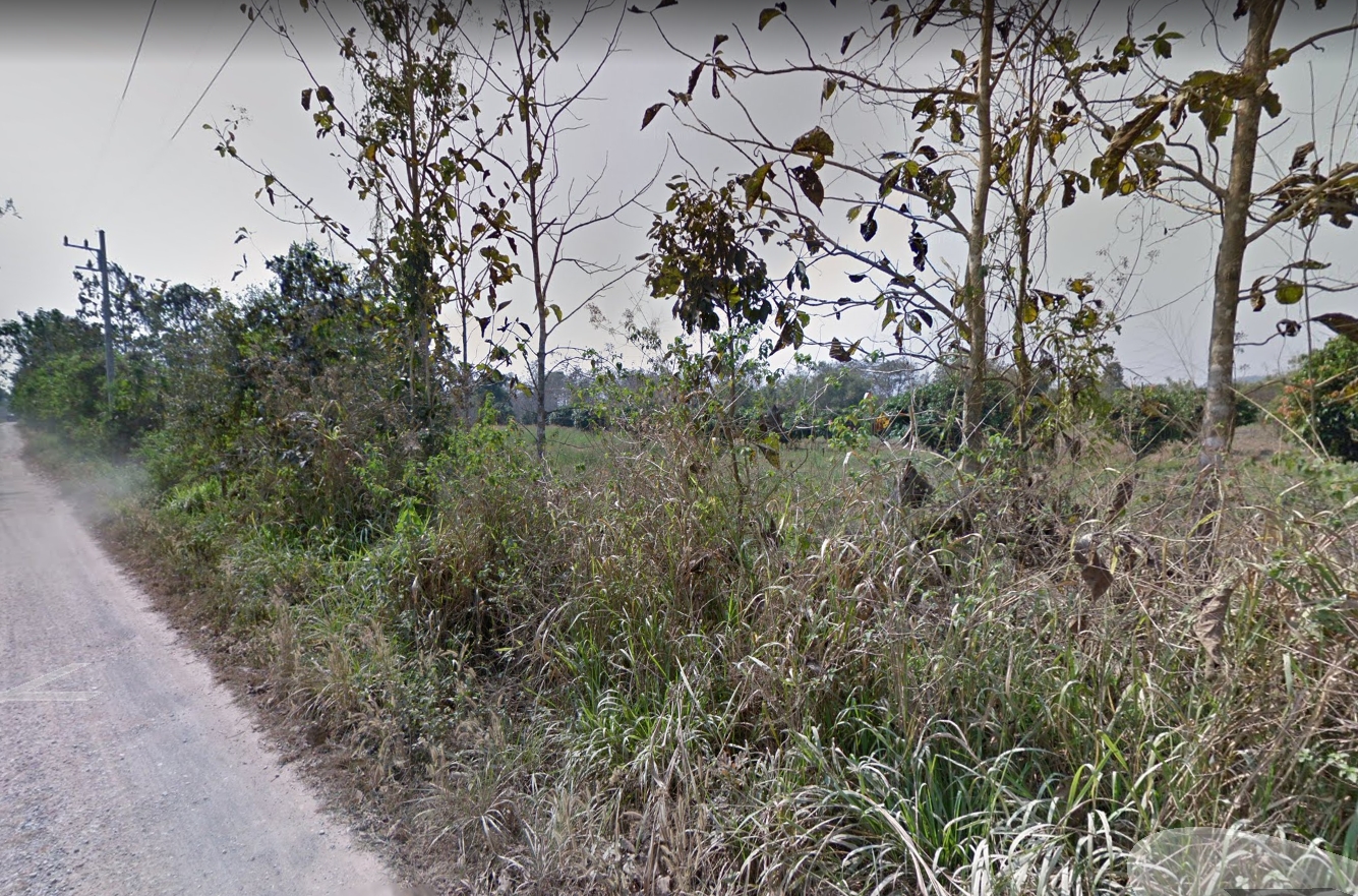 ที่ดินเปล่า แม่ลาว เชียงราย 9-3-60 ตร.ว.