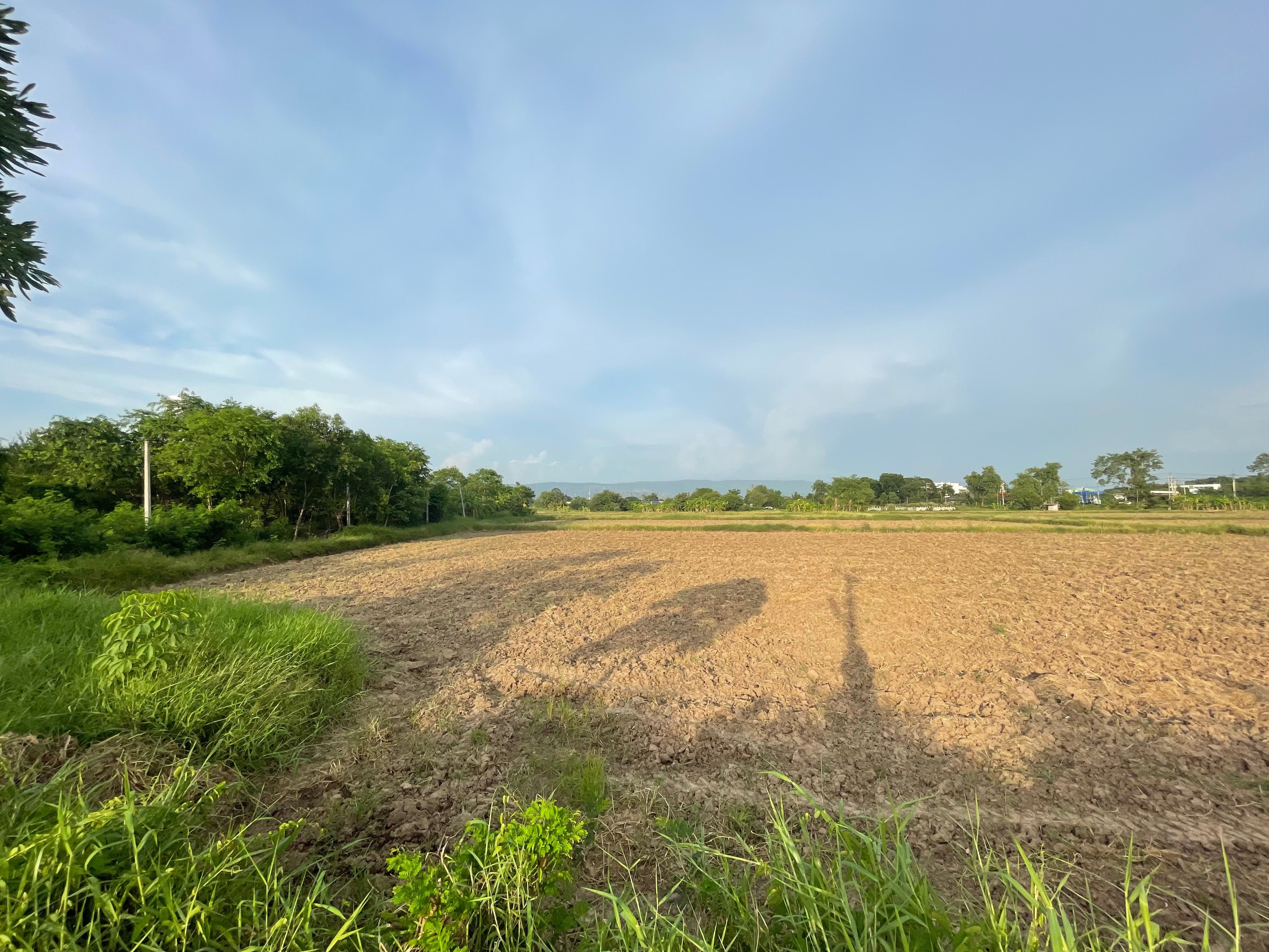 ขายที่ดิน จังหวัดพิษณุโลก เนินมะปราง