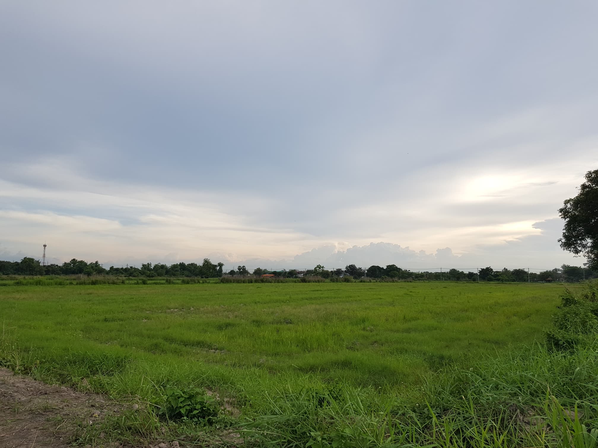 ที่ดินเปล่า อ.เมืองนครนายก จ.นครนายก 77-1-28