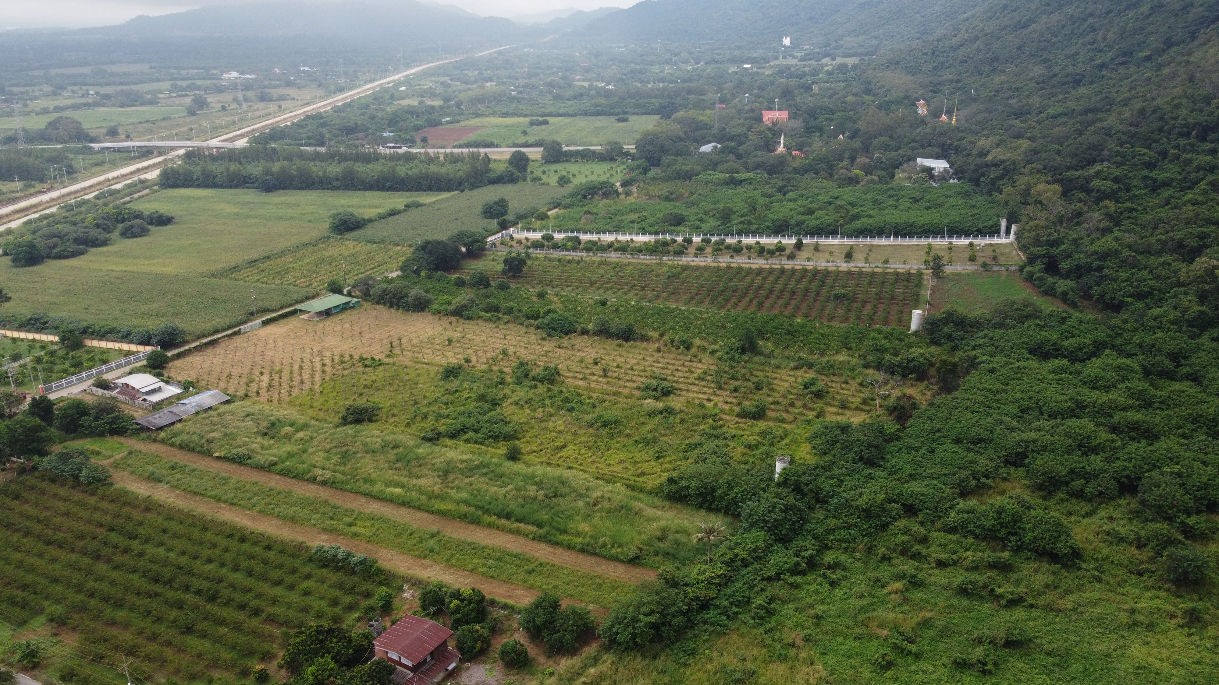 ขายที่ดินนครราชสีมา ปากช่อง ที่ดินสวย วิวธรรมชาติ บรรยากาศดี