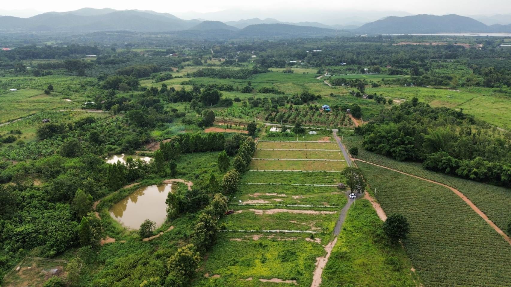 สัมผัสความสวยงามของบรรยากาศธรรมชาติเขากระทิง เพชรบุรี 