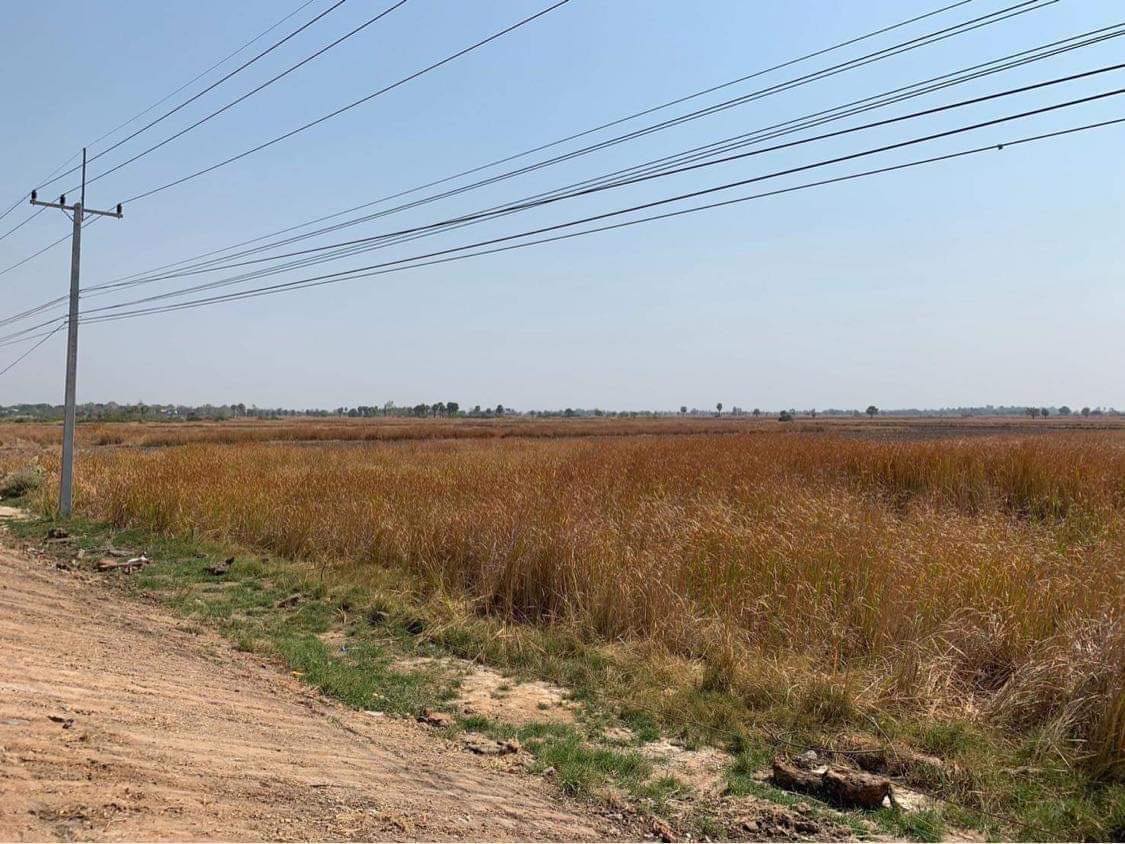 ขายที่ดินเปล่าติดถนนมิตรภาพโคราช ที่สวยทำเลดี 32-2-72 ไร่