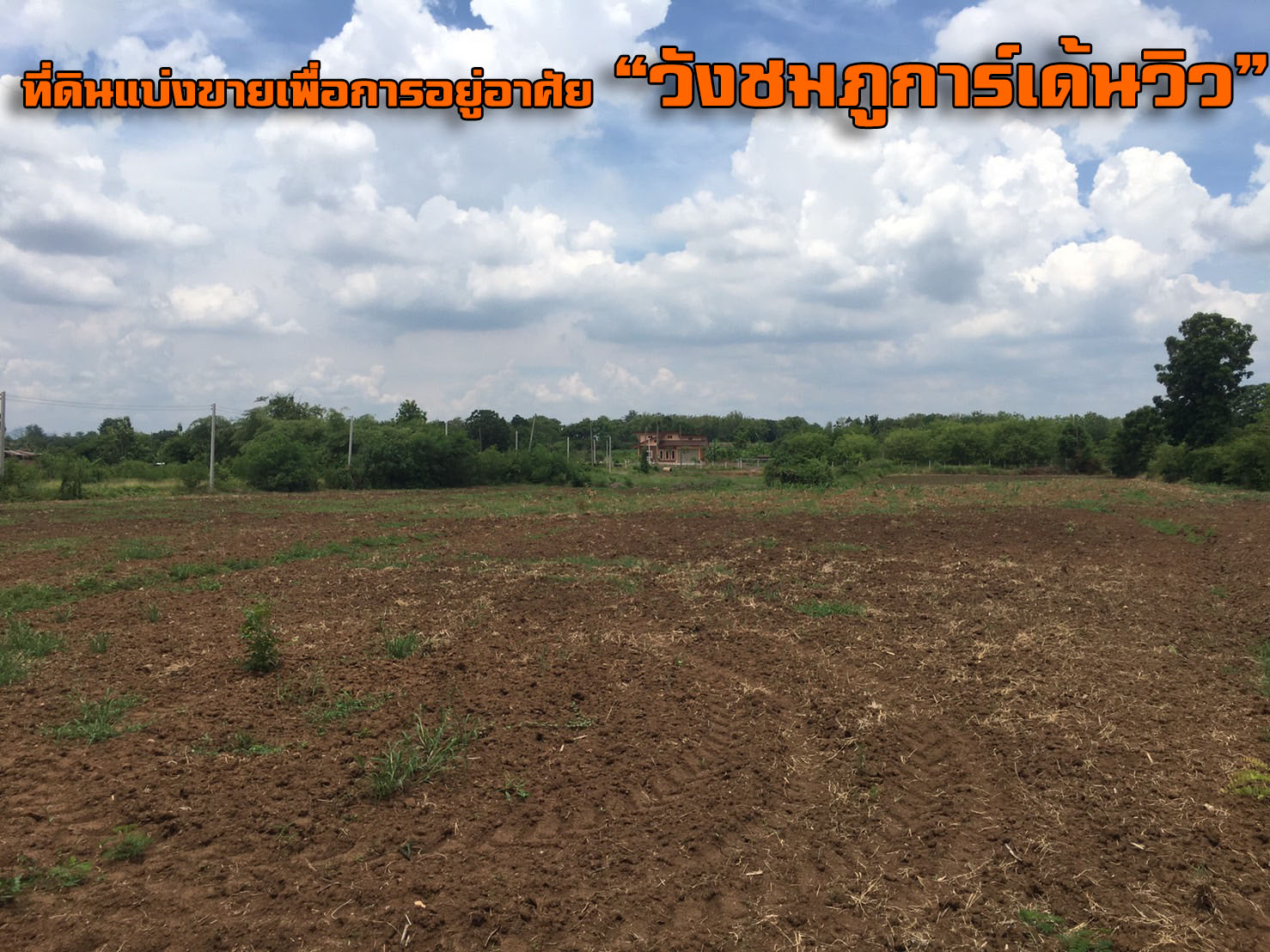 ที่ดินแบ่งขาย เริ่มต้นที่ 70.4 ตารางวา อ.เมืองเพชรบูรณ์ จ.เพชรบูรณ์