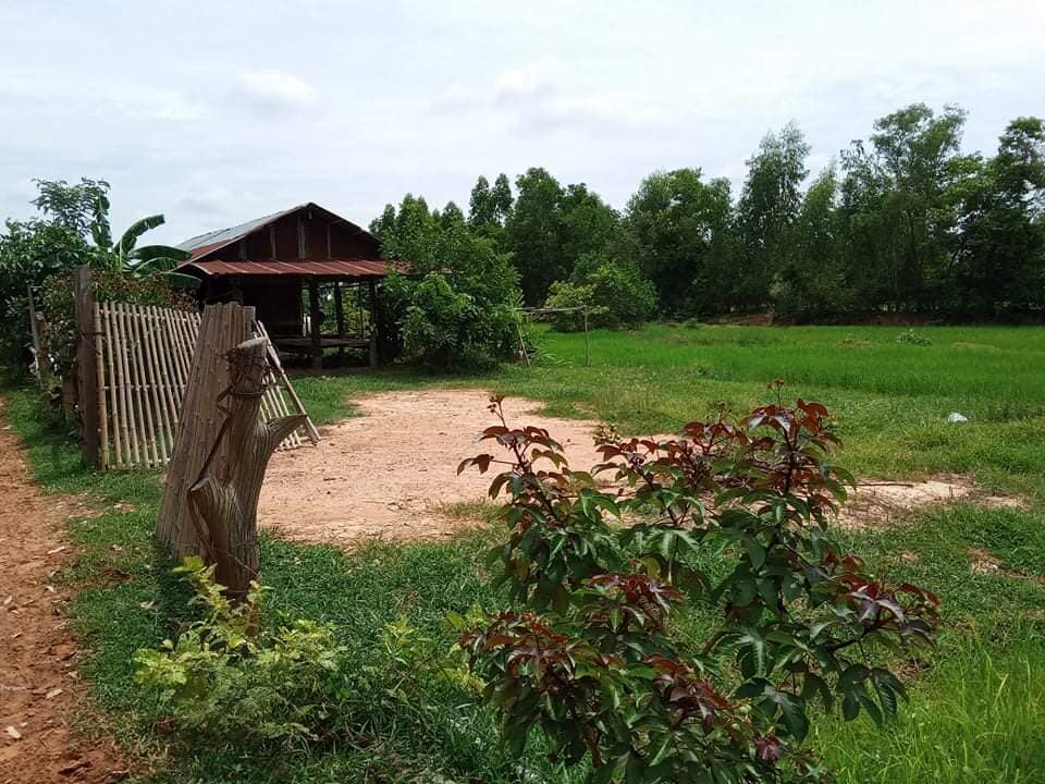 ที่ดินหมู่บ้านดอนดู่ มหาสารคาม 2-1-14.6