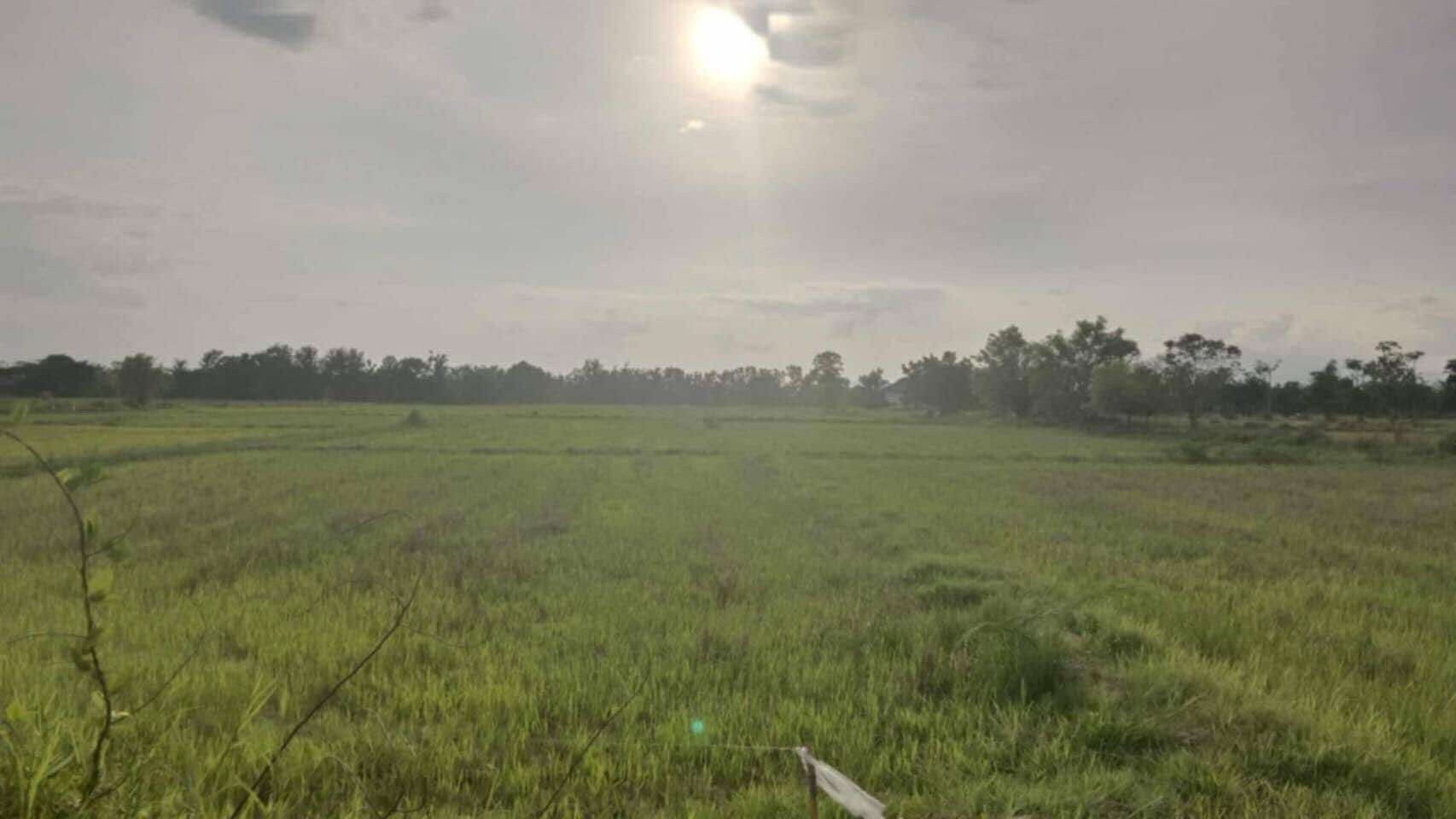 ขายที่ดินลำพูน อำเภอบ้านธิ ที่ดินแปลงสวย บรรยากาศดี ติดถนนสาธารณะ สามารถลงทุนได้หลากหลาย 12-2-54.7 ไร่.