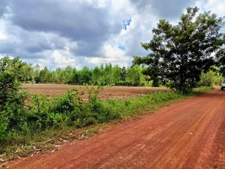 ขายที่ดิน อำเภอเพ็ญจังหวัดอุดรธานี 5-1-20 ไร่