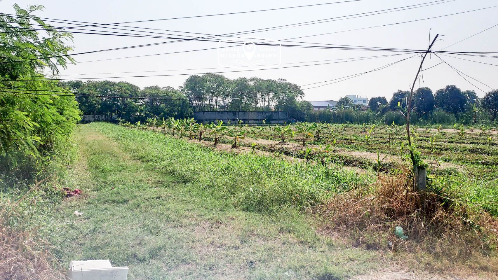 ที่สวยติดถนน น้ำ-ไฟ พร้อม เขตบางบอน  กรุงเทพฯ