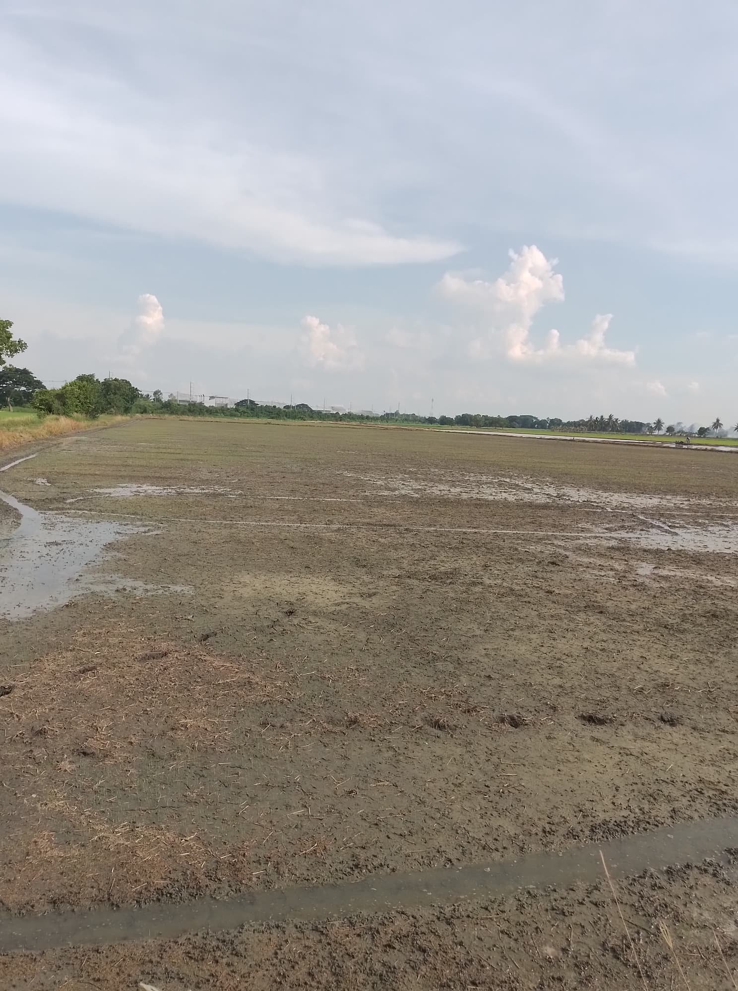 ขายที่ดินชัยนาท มโนรมย์ 16-2-60