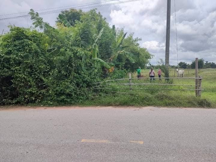 ขายที่ดิน บ้านไผ่
