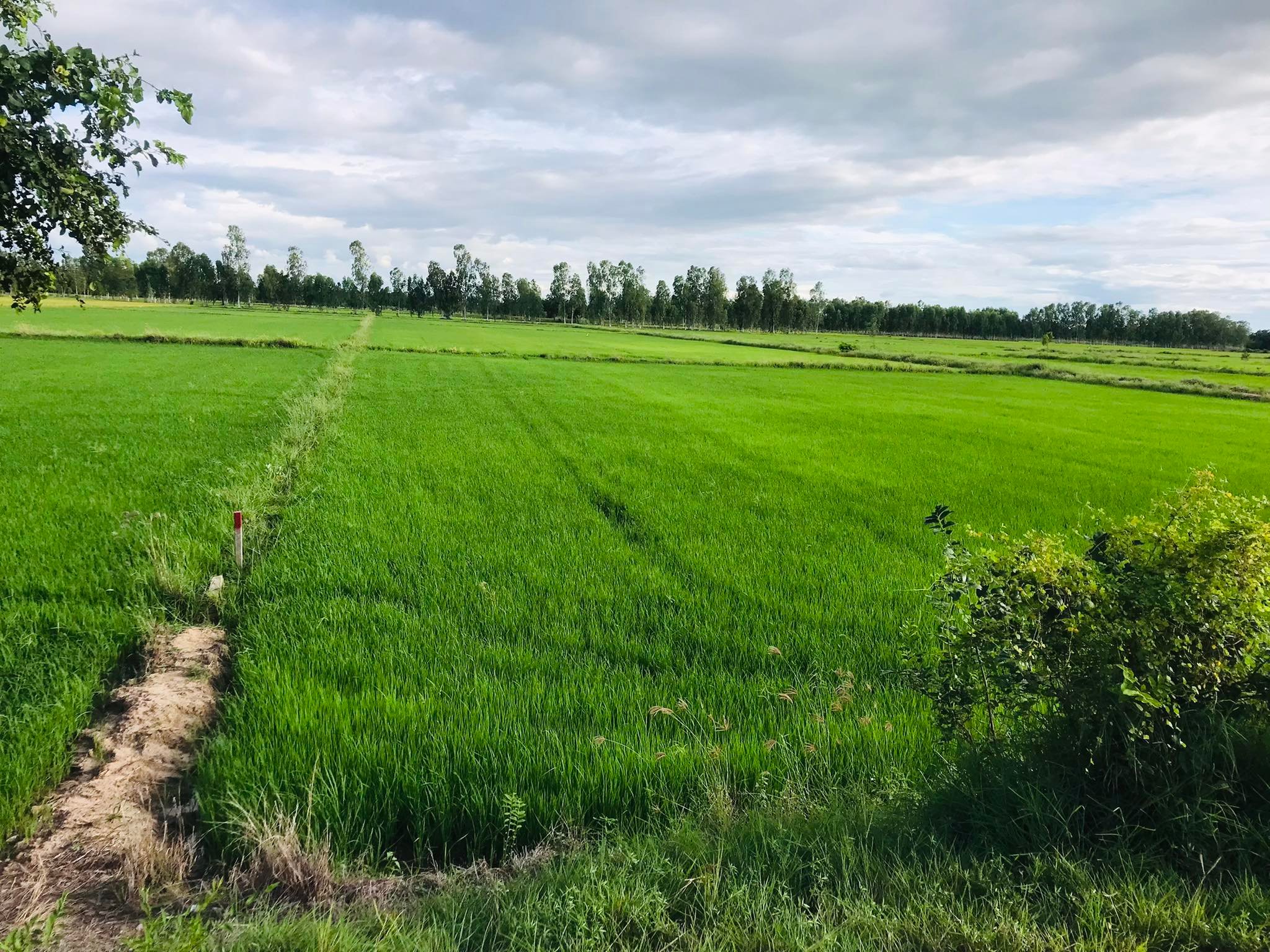 ขายที่ดินสุพรรณบุรี เมืองสุพรรณบุรี
