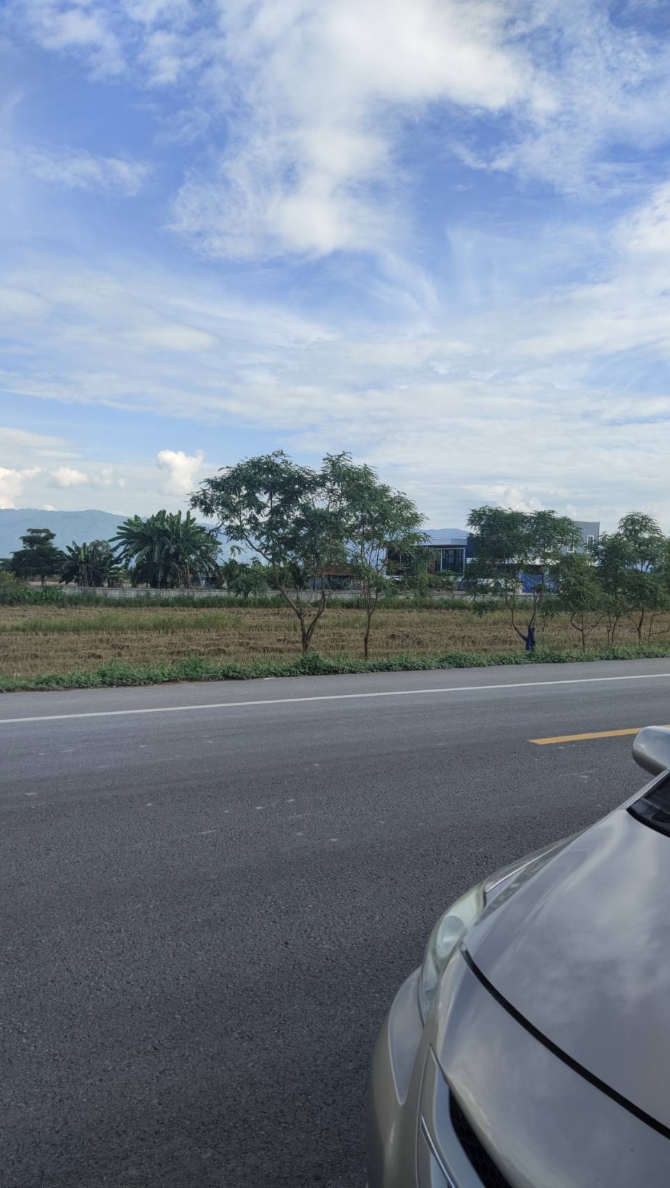 ขายที่ดินเชียงราย พญาเม็งราย 2-2-55