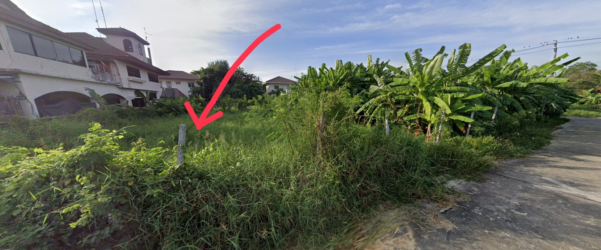 ขายที่ดินเปล่าปากเกร็ด ซ.ต้นสน 6 ซ.แจ้งวัฒนะ-ปากเกร็ด 20 ถมที่แล้ว