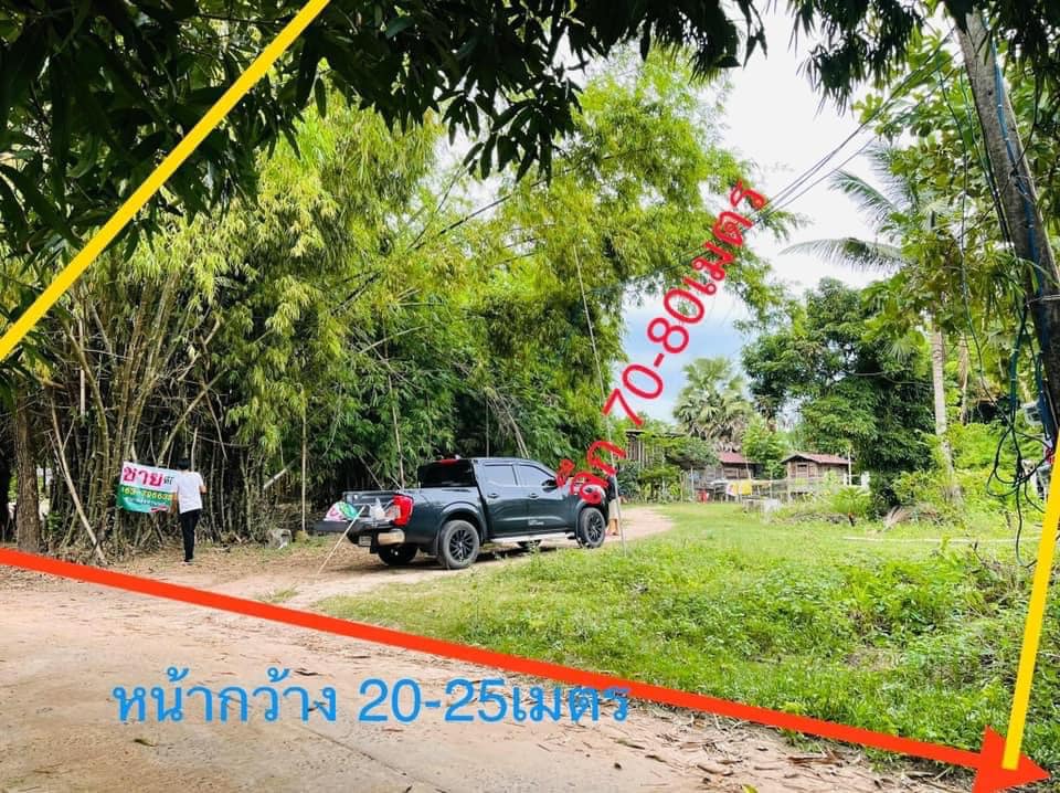 ที่ดิน 3 งาน 6 ตารางวา อุบลราชธานี