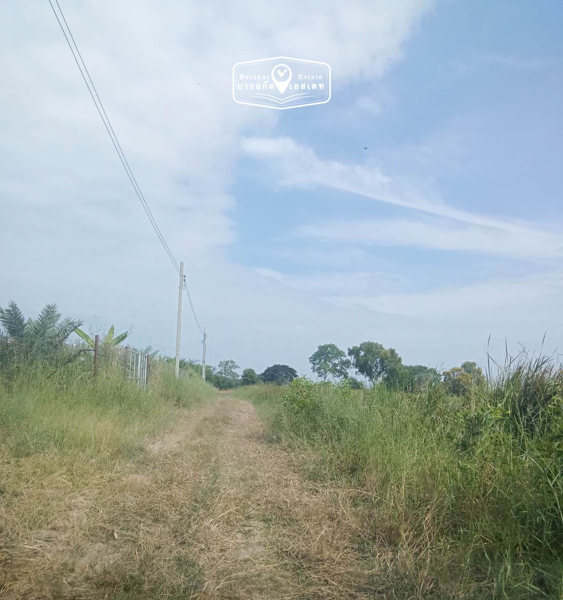 คลอง14ฝั่งตะวันออก ด้านหน้าติดถนนกว้าง 42 เมตร ด้านหลังติดคลอง