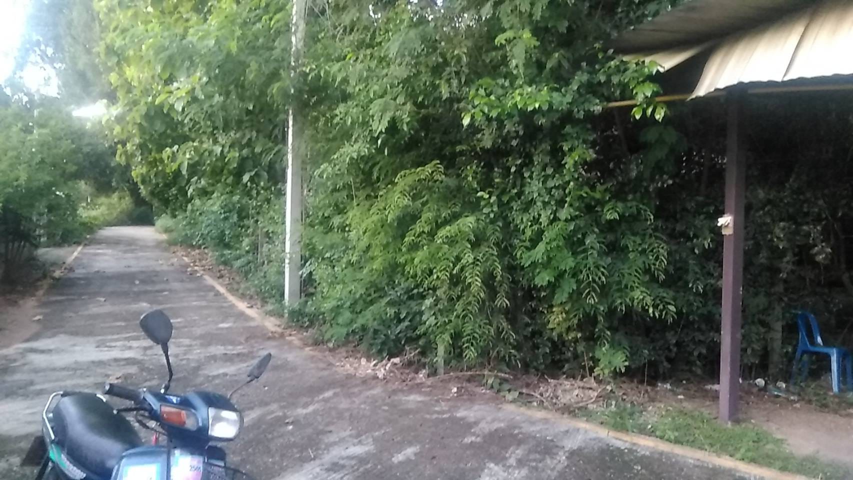 ขายบ้านพร้อมที่ดิน เมืองลำปาง  0-0-56.5