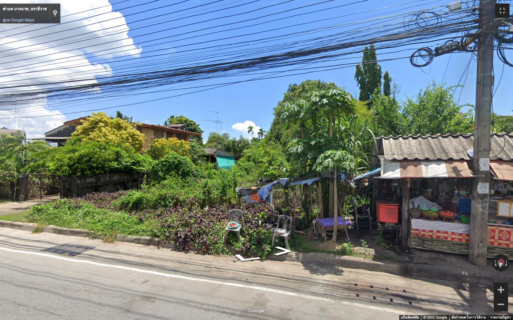 ที่ดินเปล่าแปลงสวย เมืองนราธิวาส 0-1-98