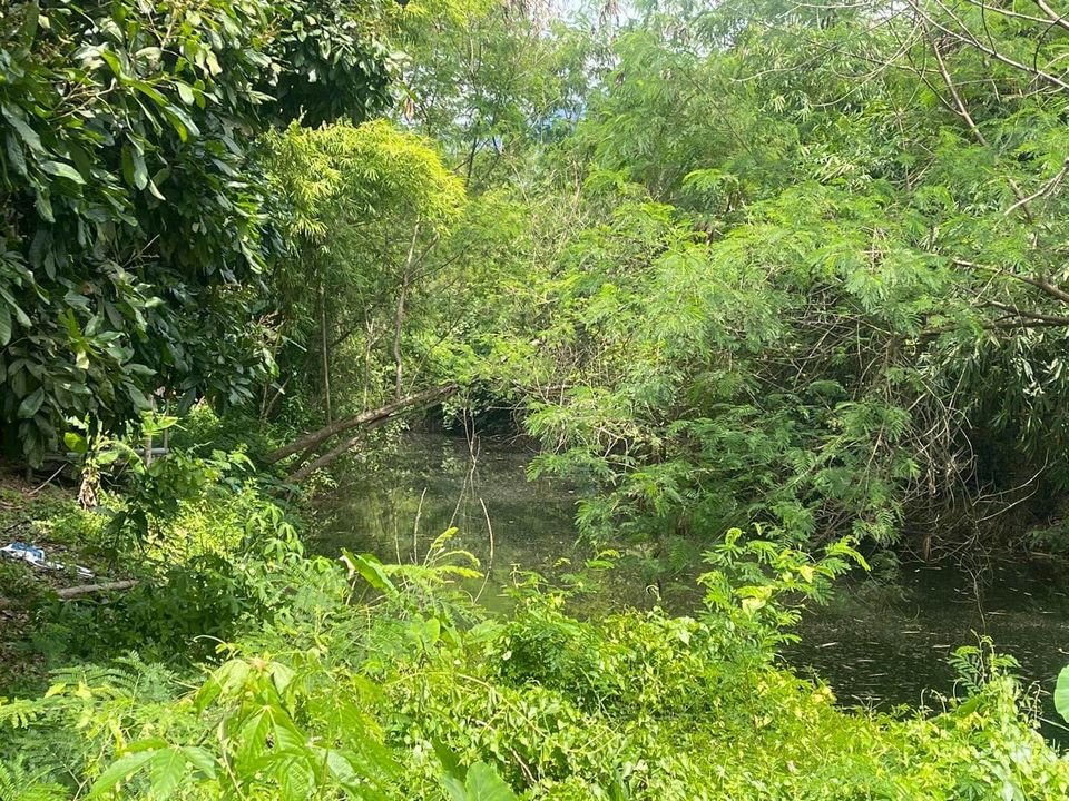 ขายที่ดิน จันทบุรี 13-1-46 ไร่ 