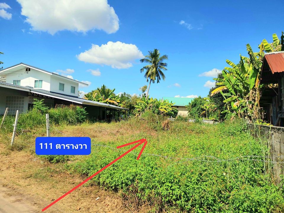 ขายที่ดิน อุดรธานี 0-1-11 ไร่