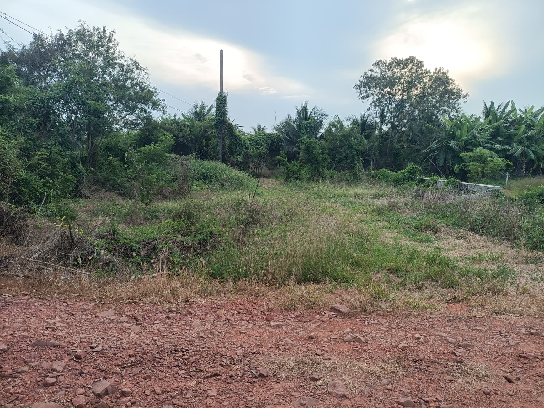 ที่ดิน อ.บ้านแพ้ว จ.สมุทรสาคร 4-1-53.6