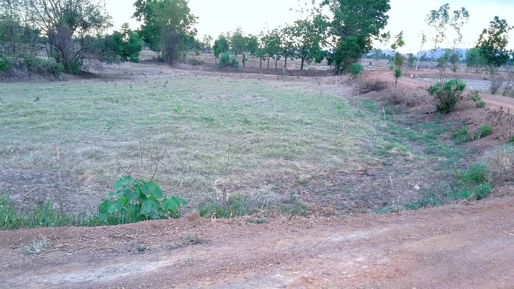 ที่ดินเปล่า สุโขทัย 26-1-40