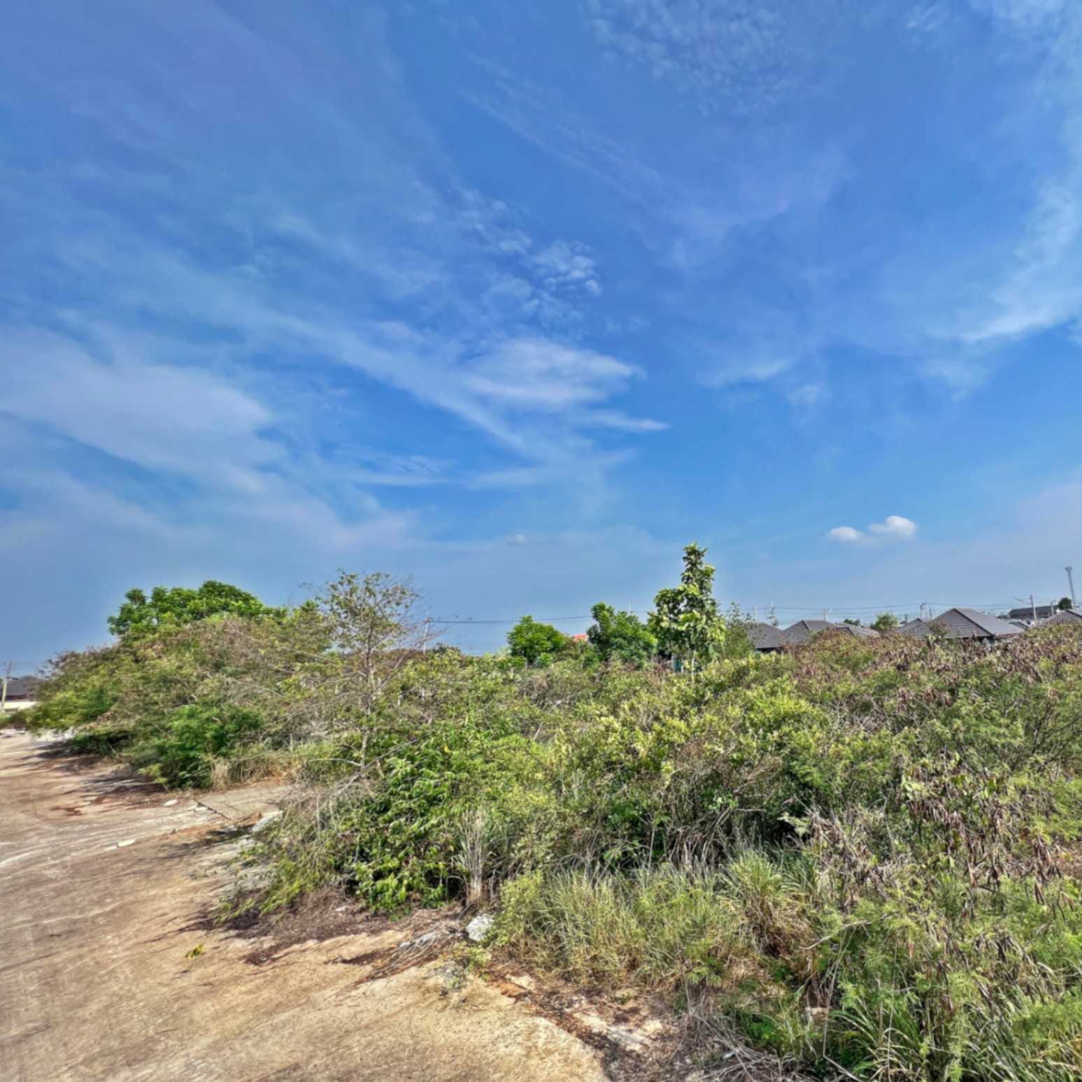 ขายที่ดินระยอง ขายที่ดินปลวกแดง ขายที่ดินมาบยางพร ขายที่ดินนิคมอุตสาหกรรมอีสเทิร์นซีบอร์ด