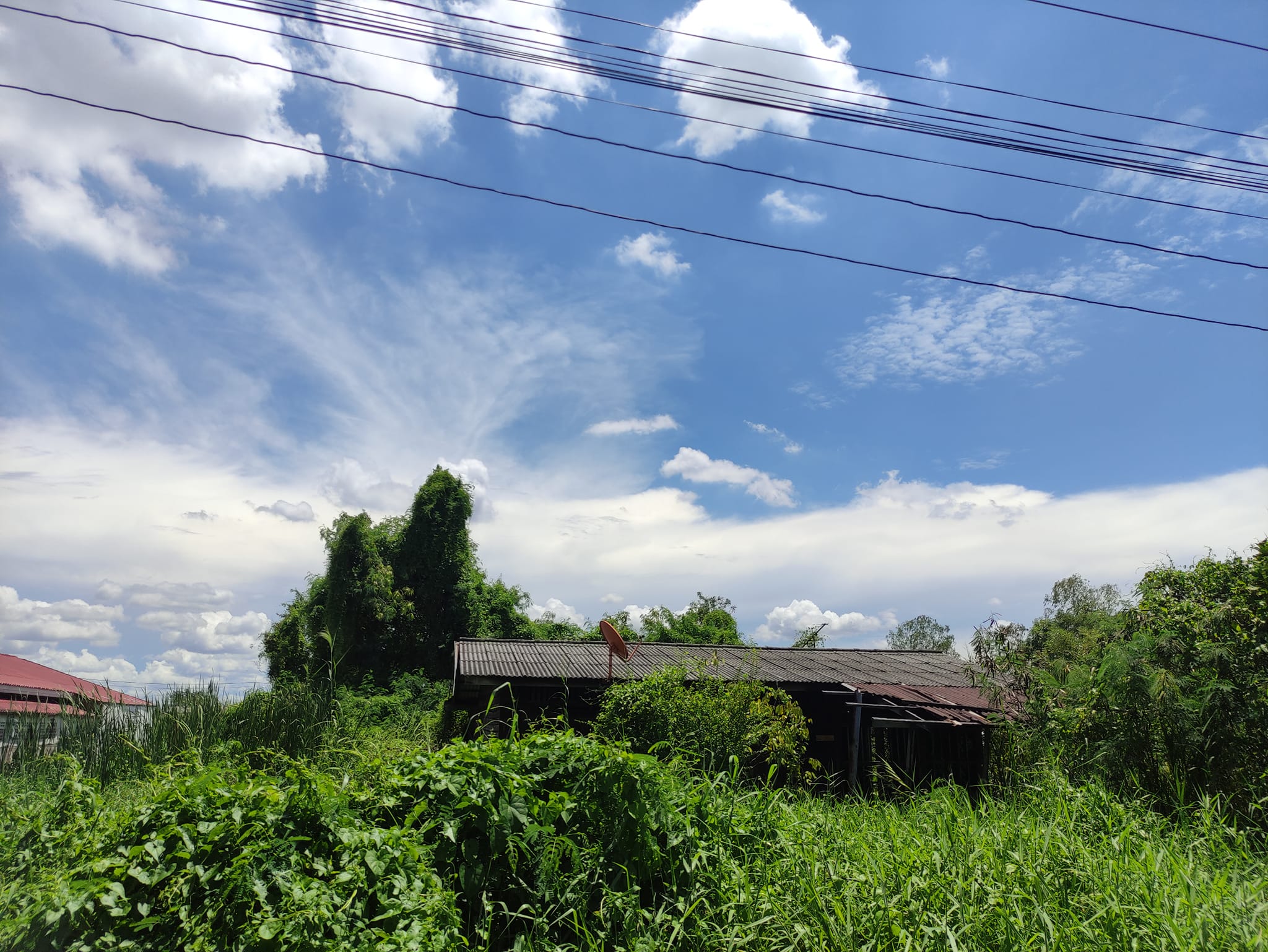ขายที่ดินชลบุรี พานทอง 1-3-56