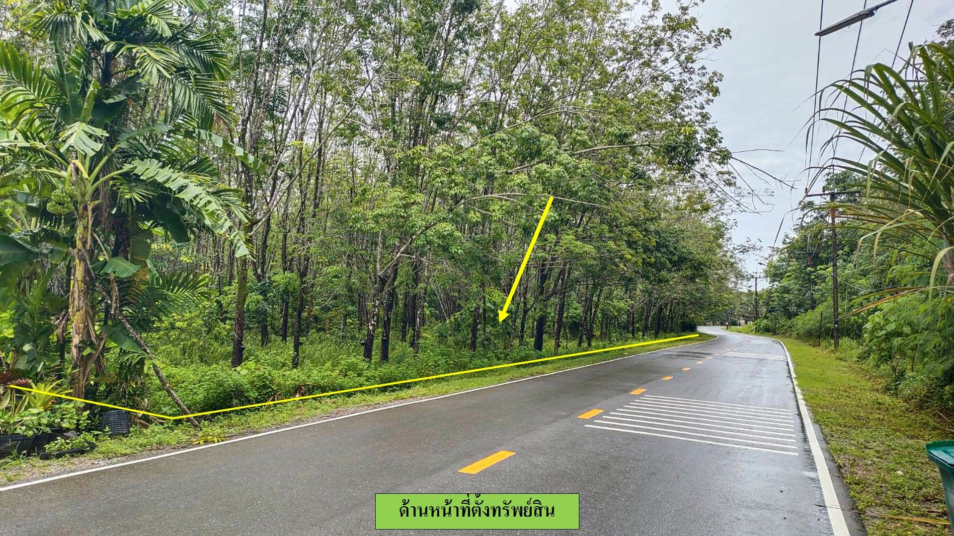 ขายที่ดิน บ้านด่านหยิด เนื้อที่ 1 ไร่ ติดถนนลาดยาง อยู่ในชุมชน