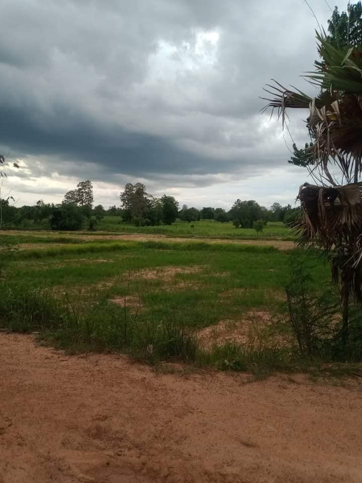 ขายที่ดิน 11 ไร่ บ้านห้วยต้อน