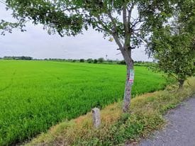 ขายที่ดินแปลงใหญ่ สามโคก ปทุมธานี
