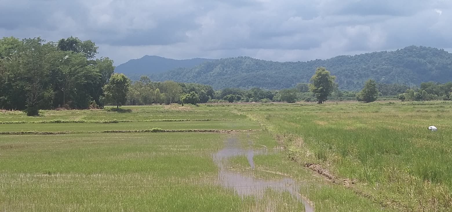 ที่ดินเปล่า เมืองนครนายก 22-0-68
